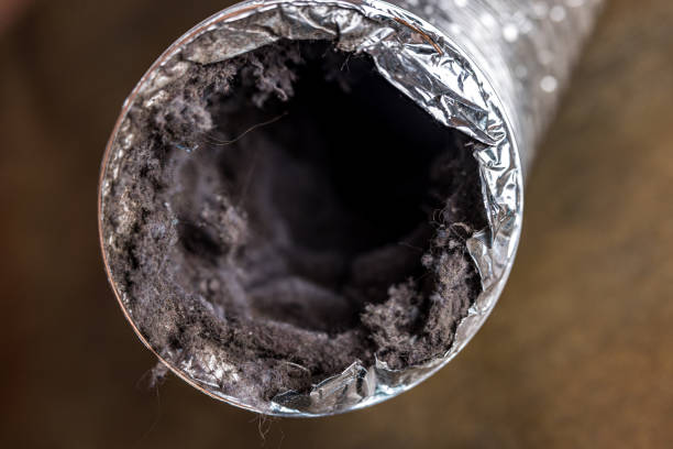 Best Local Air Duct Cleaning Services  in Air Force Academy, CO